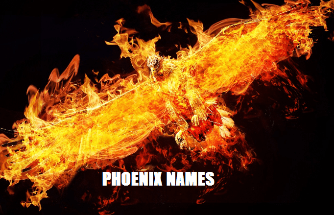 phoenix names