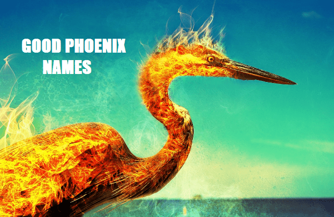 good phoenix names