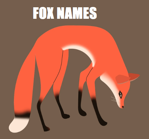 funny fox names