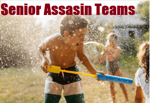 inappropriate senior assassin team names

