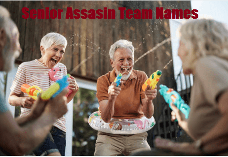 funny senior assassin team names

