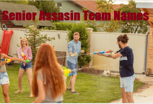 good senior assassin team names

