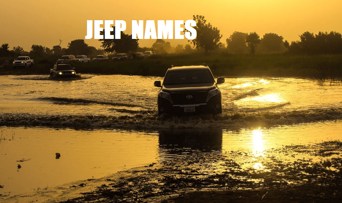 Jeep names